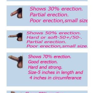 Penis erection grading